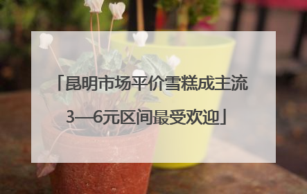昆明市场平价雪糕成主流 3—6元区间最受欢迎